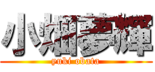 小畑夢輝 (yuki obata)