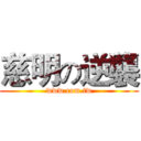 慈明の逆襲 (www.com.tw)