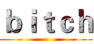 ｂｉｔｃｈ ()