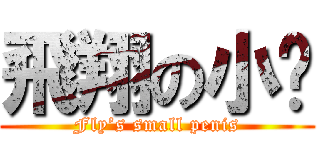 飛翔の小屌 (Fly’s small penis)