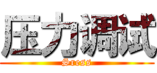 压力调试 (Sress)