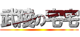 武陵の宅宅 ()