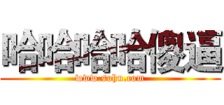 哈哈哈哈傻逼 (www.sohu.com)