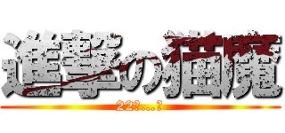 進撃の猫魔 (22日…。)