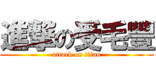 進撃の受毛豐 (attack on titan)