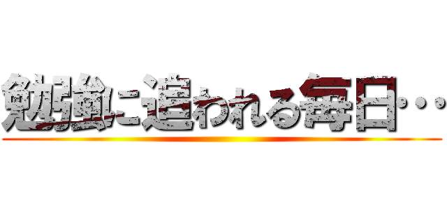 勉強に追われる毎日… ()