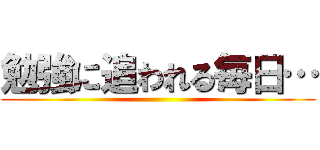 勉強に追われる毎日… ()