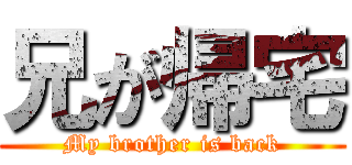 兄が帰宅 (My brother is back)