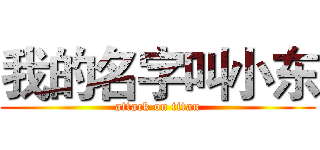 我的名字叫小东 (attack on titan)