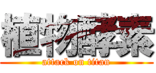 植物酵素 (attack on titan)