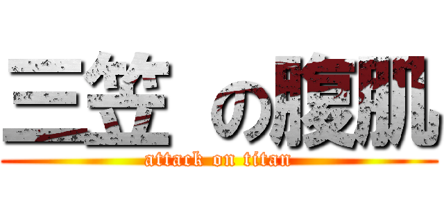 三笠 の腹肌 (attack on titan)