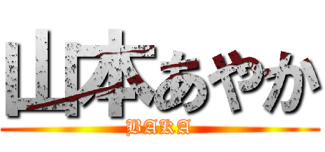山本あやか (BAKA)