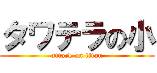 タワテラの小 (attack on titan)