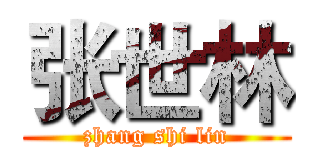 张世林 (zhang shi lin)