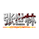 张世林 (zhang shi lin)