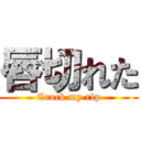 唇切れた (Crack my rip)