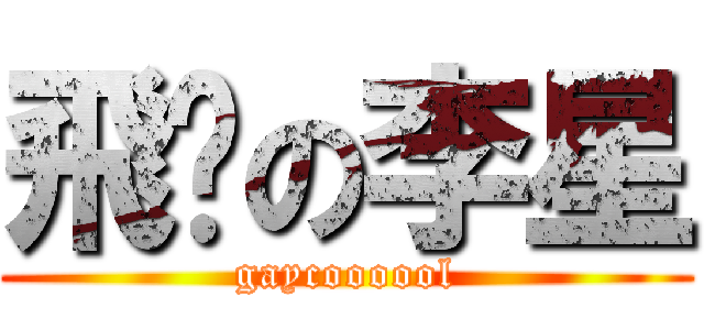 飛踢の李星 (gaycoooool)