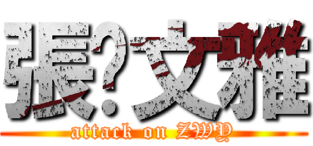 張·文雅 (attack on ZWY)