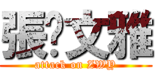 張·文雅 (attack on ZWY)