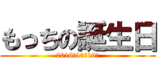 もっちの誕生日 (2016年10月19日)