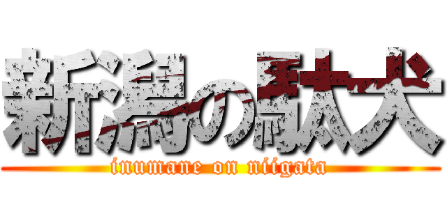 新潟の駄犬 (inumane on niigata)