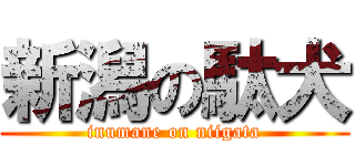 新潟の駄犬 (inumane on niigata)