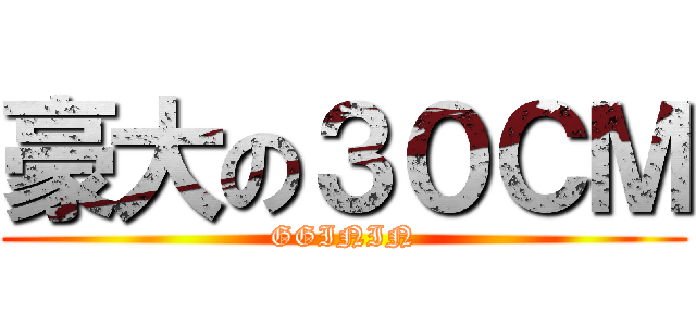 豪大の３０ＣＭ (GGININ)