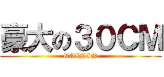 豪大の３０ＣＭ (GGININ)