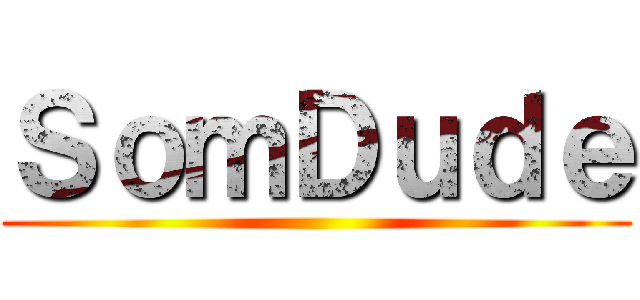 ＳｏｍＤｕｄｅ ()