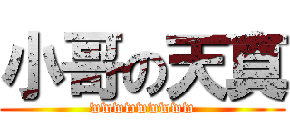 小哥の天真 (wwwwwwwww)