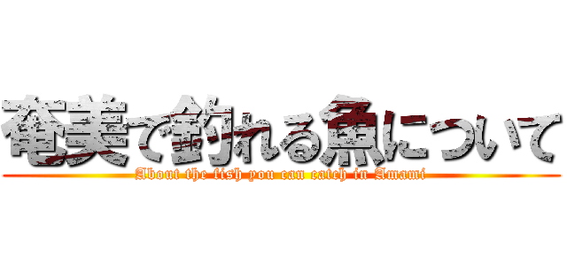奄美で釣れる魚について (About the fish you can catch in Amami)
