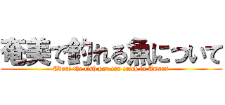 奄美で釣れる魚について (About the fish you can catch in Amami)