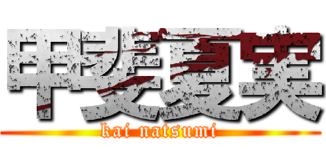 甲斐夏実 (kai natsumi)