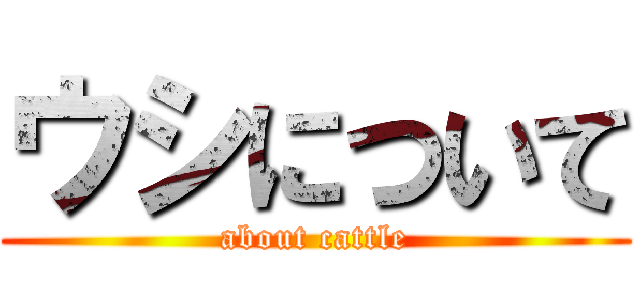 ウシについて (about cattle)