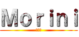 Ｍｏｒｉｎｉ (モリニ)