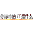 你眼中的ＩＴ是什么 (What is IT)