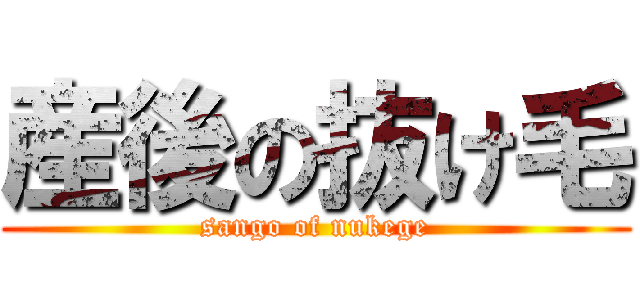 産後の抜け毛 (sango of nukege)
