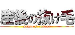 産後の抜け毛 (sango of nukege)