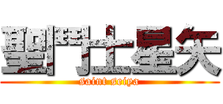 聖鬥士星矢 (saint seiya)