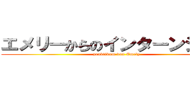 エメリーからのインターンシップ (praktikum von Emely)