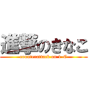 進撃のきなこ (counterattack on 1-C)