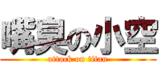 嘴臭の小空 (attack on titan)