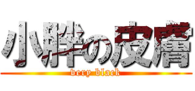 小胖の皮膚 (very black)
