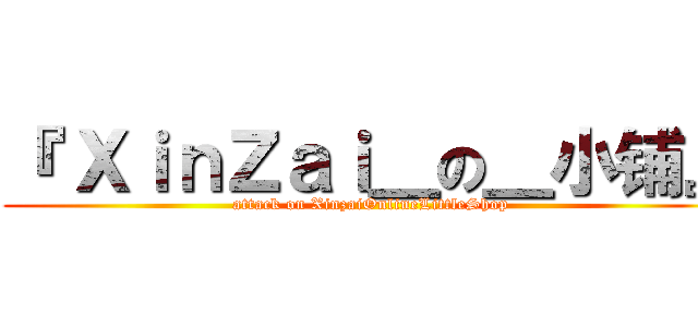 『 ＸｉｎＺａｉ＿の＿小铺』 (attack on XinzaiOnlineLittleShop)