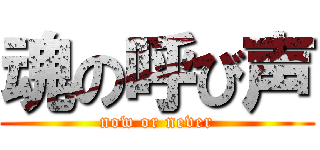 魂の呼び声 (now or never)