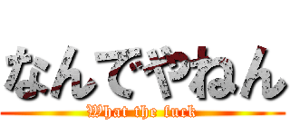 なんでやねん (What the fuck)