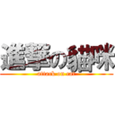 進撃の貓咪 (attack on cat)