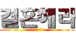 결혼해라 (エレンとミカサ)