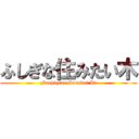 ふしぎな住みたい木 (Fushigina Sumitai Ki)