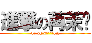 進撃の苒茉瑄 (attack on titan)